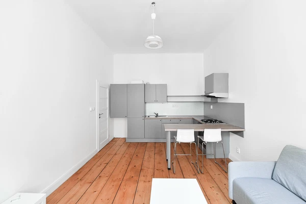 Řipská, Vinohrady - Prague 3 | Rent, Apartment, One-bedroom (2+kk), 47 m²