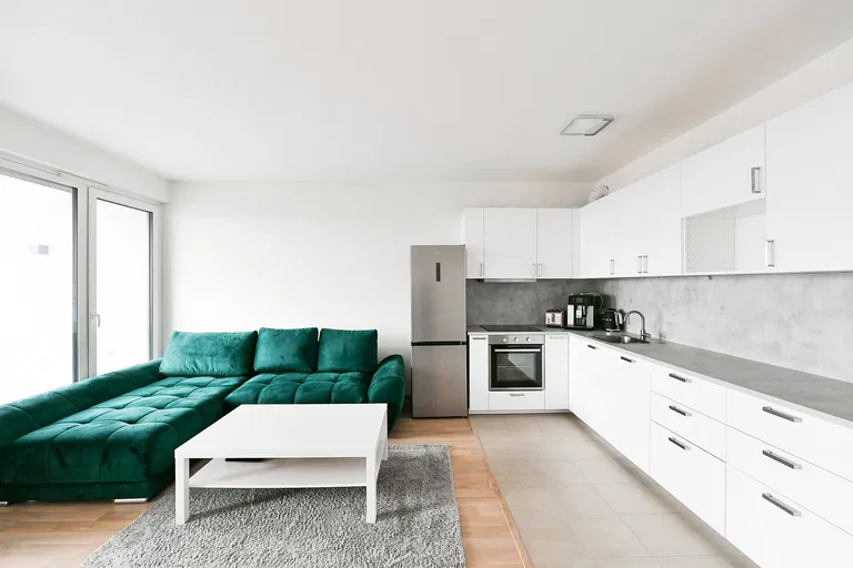 Olgy Havlové, Žižkov - Prague 3 | Rent, Apartment, One-bedroom (2+kk), 61 m²