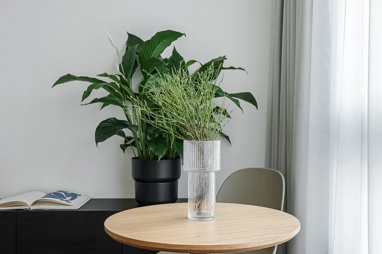 Sokolovská, Karlín - Praha 8 | Pronájem, Byt, 1+kk, 28 m²