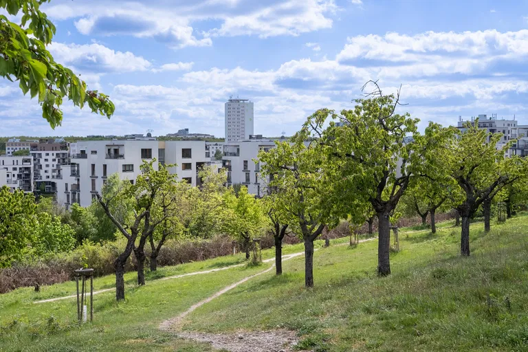 V Třešňovce, Hrdlořezy - Praha 9 | Pronájem, Byt, 3+kk, 99 m²
