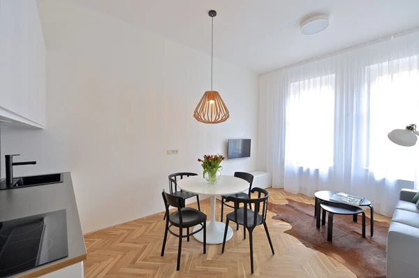 Březinova, Karlín - Prague 8 | Rent, Apartment, One-bedroom (2+kk), 56 m²