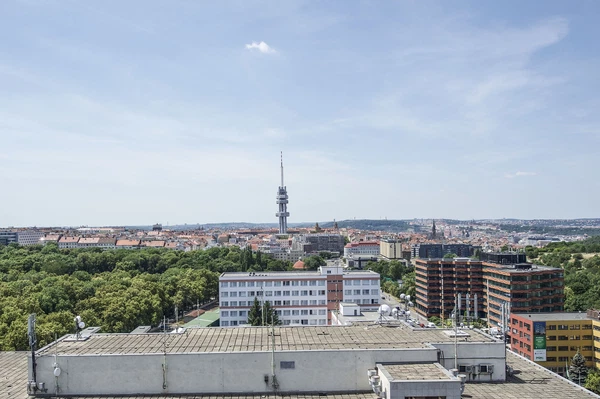 Olšanská, Žižkov - Praha 3 | Pronájem, Byt, 3+kk, 85 m²