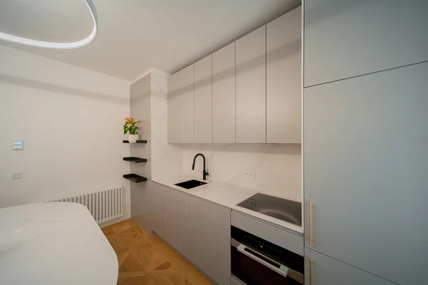 Na Kampě, Malá Strana - Prague 1 | Rent, Apartment, Studio (1+1), 48 m²