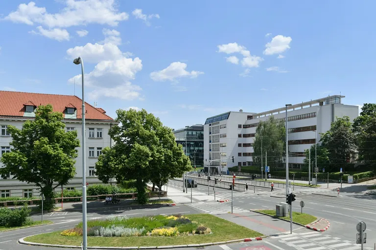 Mydlářka, Dejvice - Prague 6 | Rent, Apartment, Three-bedroom (4+kk), 119 m²