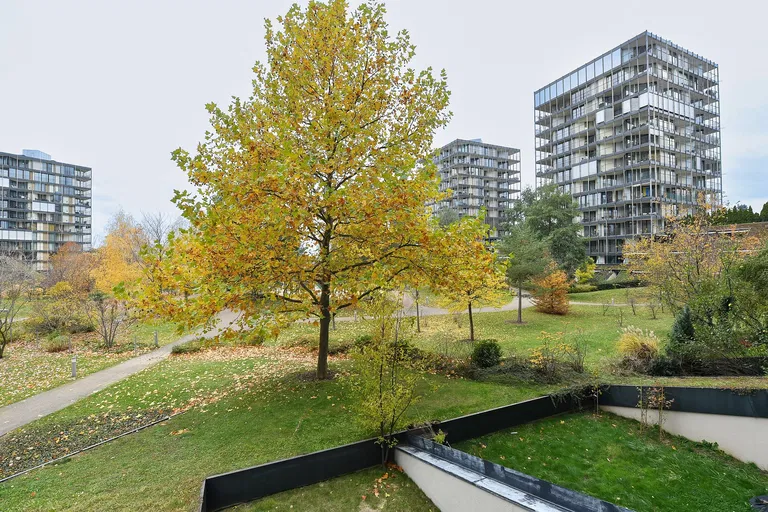 Ke Kapslovně, Žižkov - Praha 3 | Pronájem, Byt, 1+kk, 56 m²