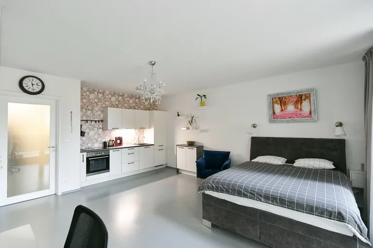 Ke Kapslovně, Žižkov - Praha 3 | Pronájem, Byt, 1+kk, 56 m²