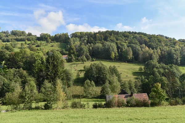 Víchovská lhota, Víchová nad Jizerou - Semily | Prodej, Rodinný dům, 4+kk, 130 m²