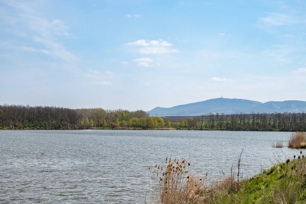 Brod nad Dyjí - Břeclav | Prodej, Rodinný dům, 3+kk, 135 m²