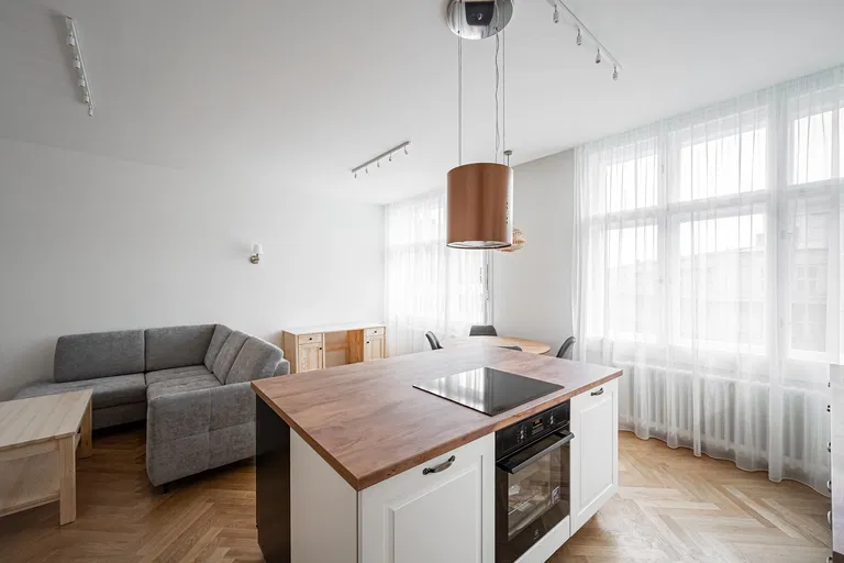 Na ovčinách, Holešovice - Prague 7 | Rent, Apartment, One-bedroom (2+kk), 62 m²