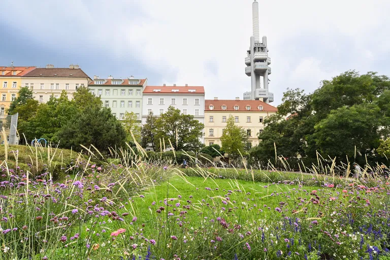 Bořivojova, Vinohrady - Prague 3 | Rent, Apartment, One-bedroom (2+kk), 62 m²