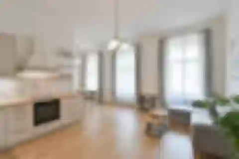 Revoluční, Nové Město - Prague 1 | Rent, Apartment, One-bedroom (2+kk), 63 m²