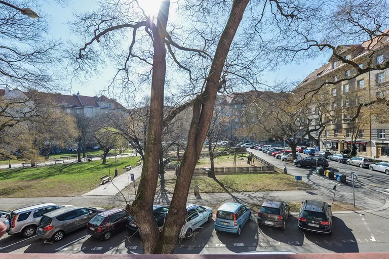 U Zeměpisného ústavu, Bubeneč - Prague 6 | Rent, Apartment, Three-bedroom (4+kk), 142 m²