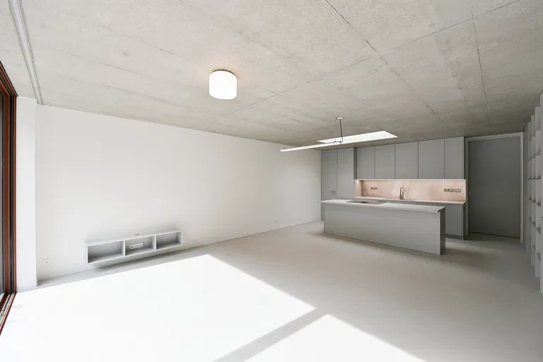 U Zdravotního ústavu, Vinohrady - Praha 10 | Pronájem, Byt, 4+kk, 132 m²