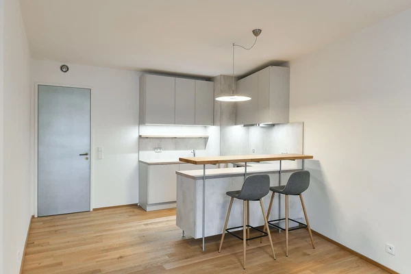 Komunardů, Holešovice - Prague 7 | Rent, Apartment, One-bedroom (2+kk), 59 m²