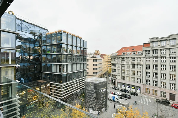 Purkyňova, Nové Město - Praha 1 | Pronájem, Byt, 5+kk, 330 m²