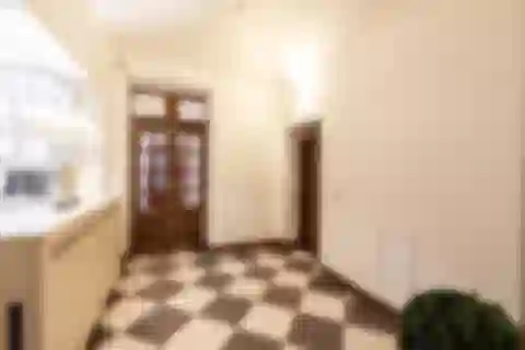 Ve Smečkách, Nové Město - Prague 1 | Rent, Apartment, One-bedroom (2+1), 70 m²