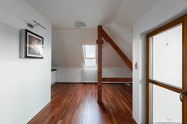 Na Míčánce, Dejvice - Prague 6 | Rent, House, Seven-bedroom (8+kk), 500 m²