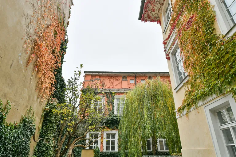 Vlašská, Malá Strana - Prague 1 | Rent, Apartment, Two-bedroom (3+kk), 81 m²