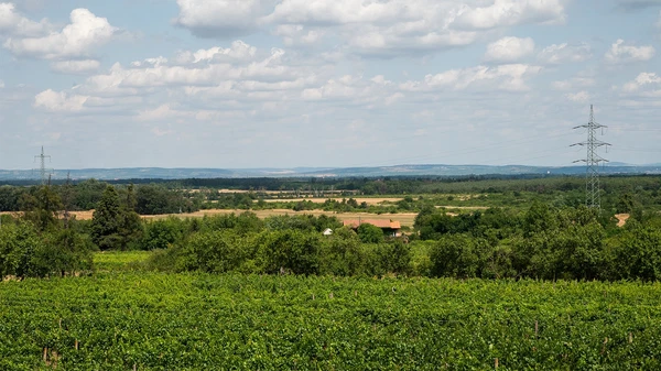 U Vodojemu, Valtice - Břeclav | Prodej, Pozemek, 1 644 m²