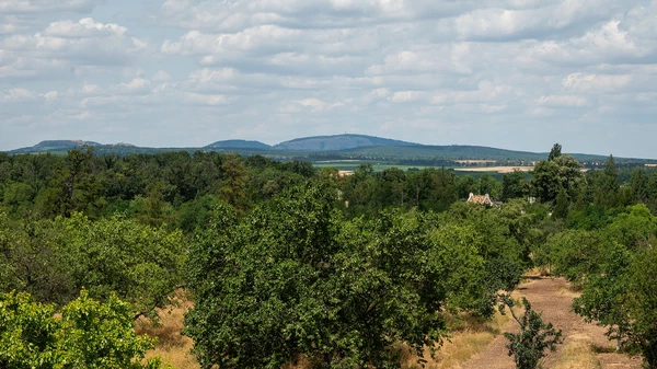 U Vodojemu, Valtice - Břeclav | Prodej, Pozemek, 1 644 m²