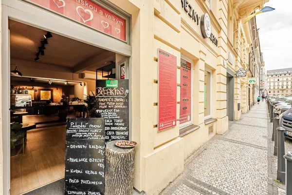 Vladislavova, Nové Město - Prague 1 | Rent, Retail space, 300 m²