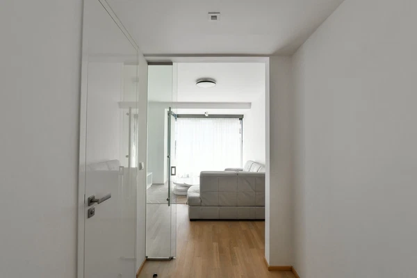 Purkyňova, Nové Město - Prague 1 | Rent, Apartment, One-bedroom (2+kk), 63 m²