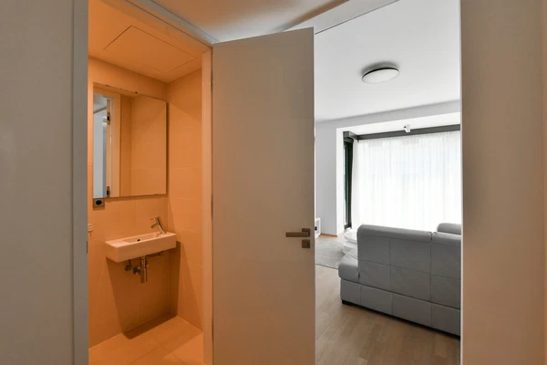 Purkyňova, Nové Město - Prague 1 | Rent, Apartment, One-bedroom (2+kk), 63 m²