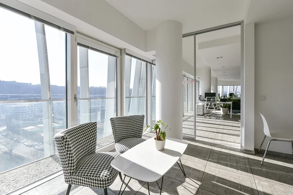 U Sluncové, Karlín - Prague 8 | Sale, Apartment, Three-bedroom (4+1), 333 m²