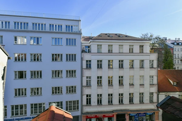 Spálená, Nové Město - Prague 1 | Rent, Apartment, One-bedroom (2+kk), 60 m²