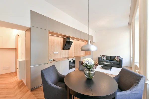 Konviktská, Staré Město - Prague 1 | Rent, Apartment, Studio (1+kk), 50 m²