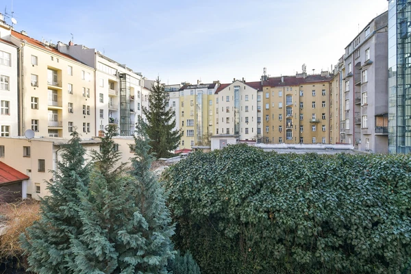 Eliášova, Bubeneč - Prague 6 | Rent, Apartment, One-bedroom (2+kk), 57 m²