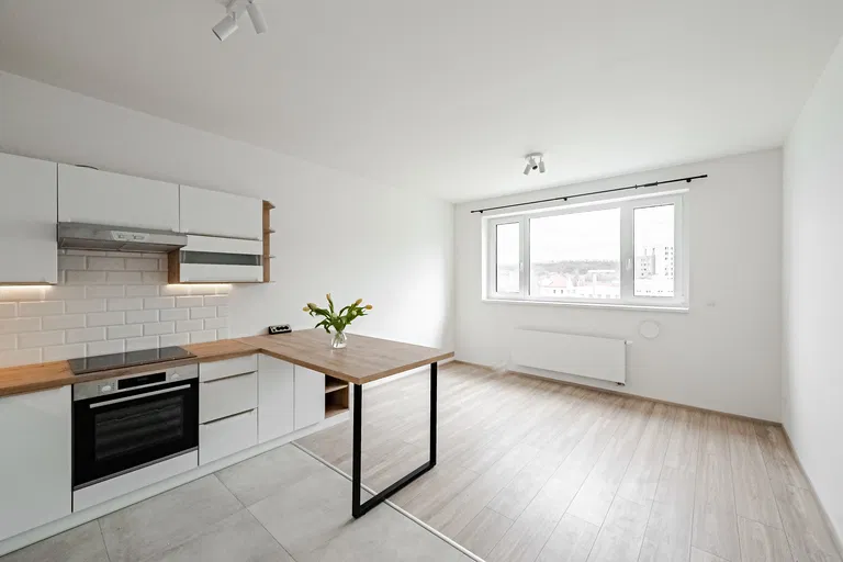 V Háji, Holešovice - Praha 7 | Pronájem, Byt, 2+kk, 52 m²