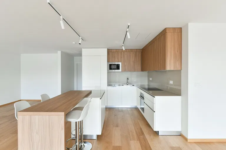 Holečkova, Smíchov - Prague 5 | Rent, Apartment, Three-bedroom (4+kk), 208 m²