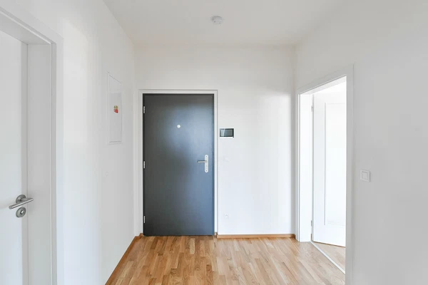 Pechmanových, Vysočany - Prague 9 | Sale, Apartment, One-bedroom (2+kk), 81 m²