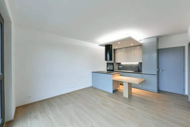 U Vlachovky, Libeň - Prague 8 | Rent, Apartment, One-bedroom (2+kk), 54 m²