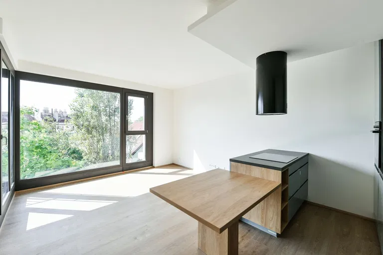 U Vlachovky, Libeň - Prague 8 | Rent, Apartment, One-bedroom (2+kk), 54 m²