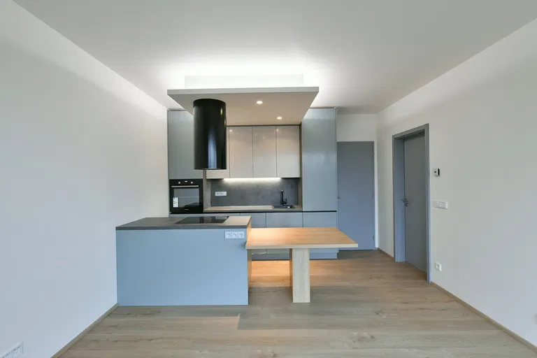U Vlachovky, Libeň - Prague 8 | Rent, Apartment, One-bedroom (2+kk), 54 m²