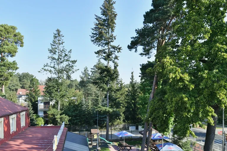 Slavětínská, Klánovice - Prague 9 | Rent, Apartment, One-bedroom (2+kk), 59 m²