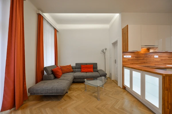 Jugoslávských partyzánů, Bubeneč - Prague 6 | Rent, Apartment, One-bedroom (2+kk), 58 m²