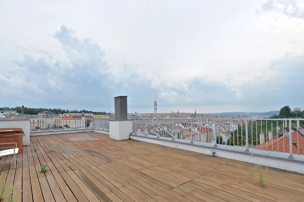 Kališnická, Žižkov - Prague 3 | Rent, Apartment, Four-bedroom (5+kk), 250 m²