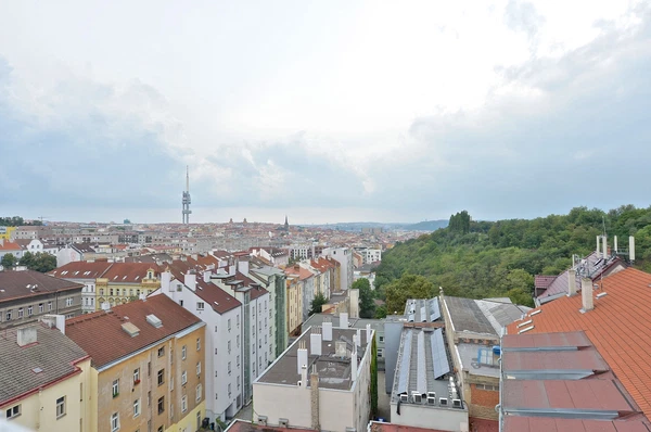 Kališnická, Žižkov - Praha 3 | Pronájem, Byt, 5+kk, 250 m²