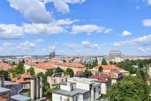 Na Klaudiánce, Podolí - Prague 4 | Rent, Apartment, Three-bedroom (4+1), 170 m²