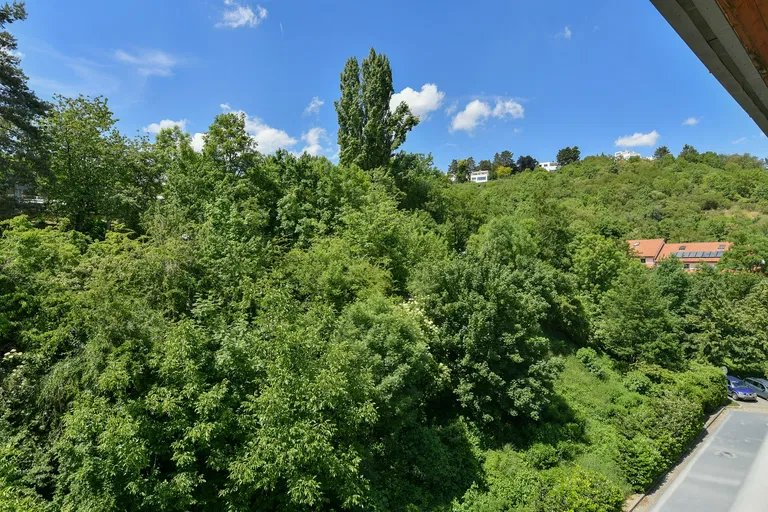 Paťanka, Dejvice - Prague 6 | Rent, Apartment, Two-bedroom (3+kk), 81 m²