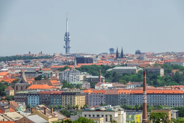 Na Václavce, Smíchov - Prague 5 | Sale, Apartment, Two-bedroom (3+1), 188 m²