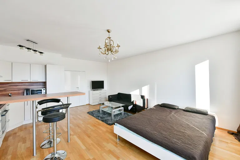 Švédská, Smíchov - Praha 5 | Pronájem, Byt, 1+kk, 52 m²