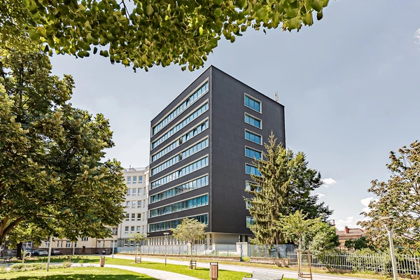 U Pergamenky, Holešovice - Prague 7 | Rent, Office building, 4 078 m²