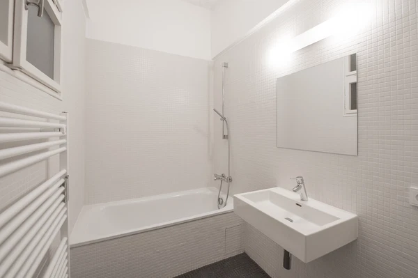 Vinařská, Holešovice - Prague 7 | Rent, Apartment, One-bedroom (2+kk), 45 m²