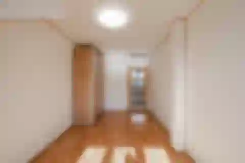 Poupětova, Holešovice - Prague 7 | Rent, Apartment, Two-bedroom (3+kk), 120 m²