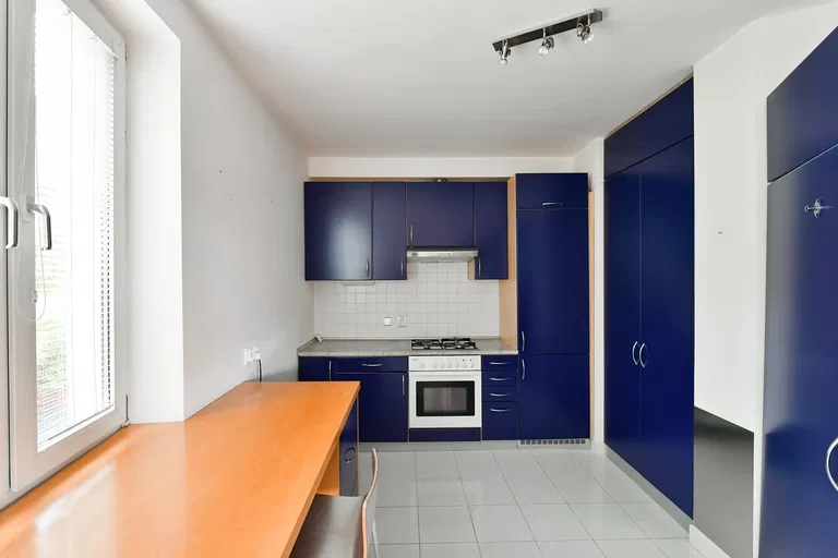 Kozácká, Vinohrady - Prague 10 | Rent, Apartment, Three-bedroom (4+1), 179 m²