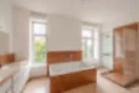 Rooseveltova, Bubeneč - Prague 6 | Rent, Apartment, Six-bedroom (7+1), 362 m²